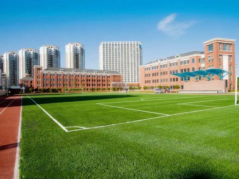SafePlay-School-Artificial-Turf-–-Durable,-Eco-Fri06