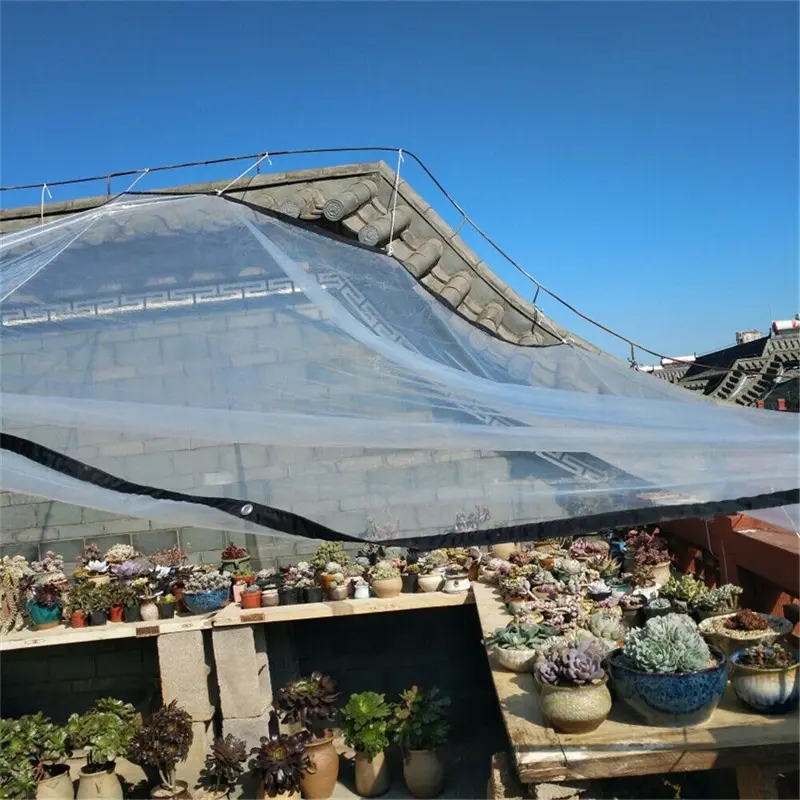 All-Weather PE Clear Tarpaulin05