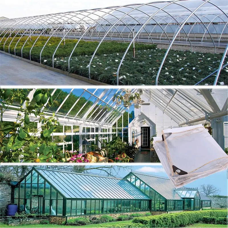 Transparent PE Tarpaulin Solutions for Reliable Ou05