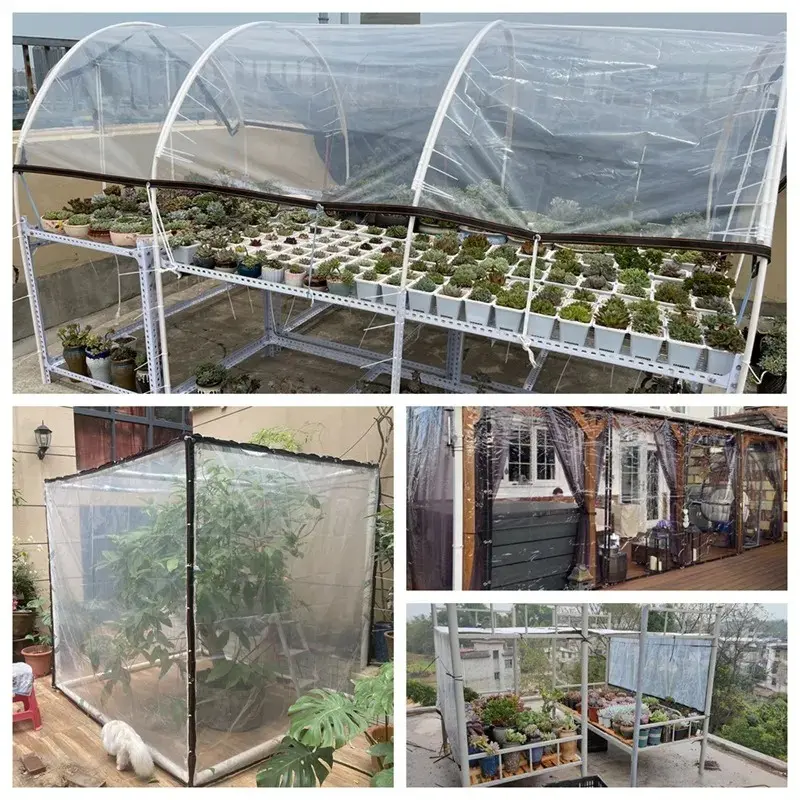 Transparent PE Tarpaulin – Durable Outdoor Cover f02