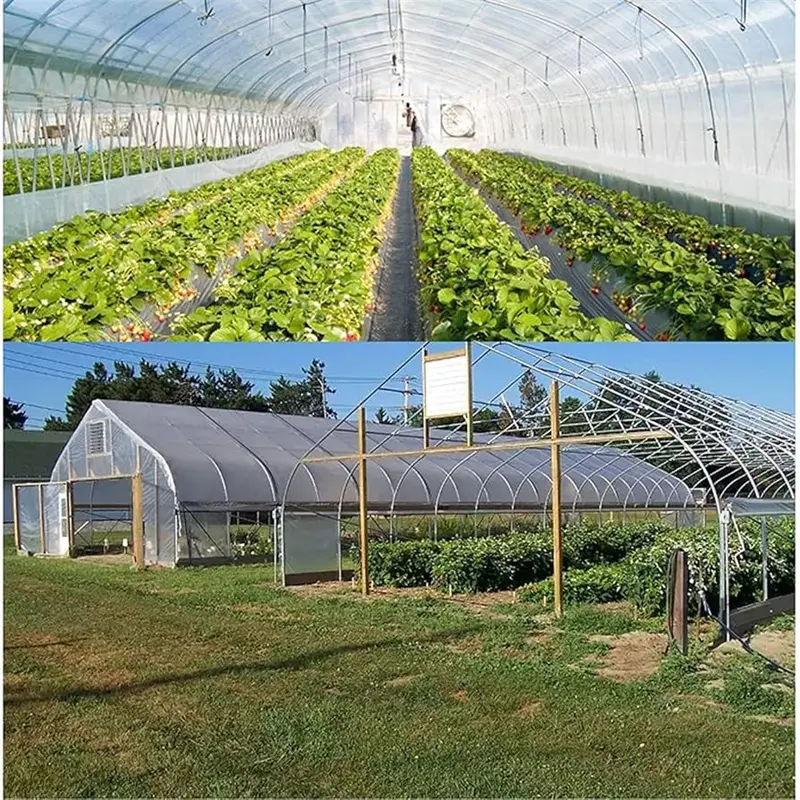 Transparent PE Tarpaulin Solutions for Reliable Ou02