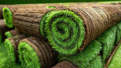 Exploring the Benefits of Turf Rolls for Sustainable Landscaping and Environmental Health