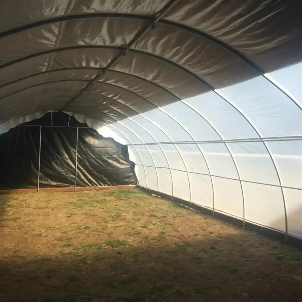 PE Clear Tarpaulin – Durable Transparent Cover Sol01