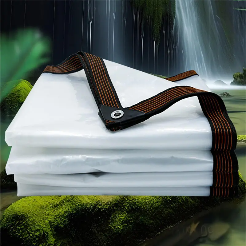 Durable PE Clear Tarpaulin – Reliable Transparent 05.jpg