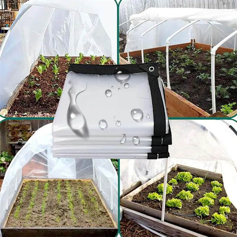 Transparent PE Tarpaulin Solutions for Reliable Ou03