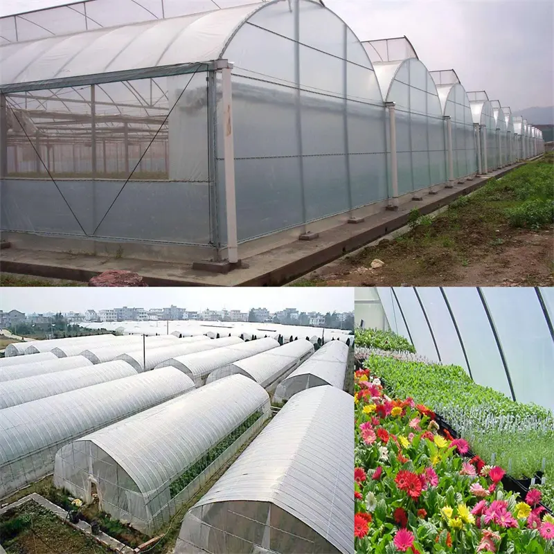 Durable PE Clear Tarpaulin01