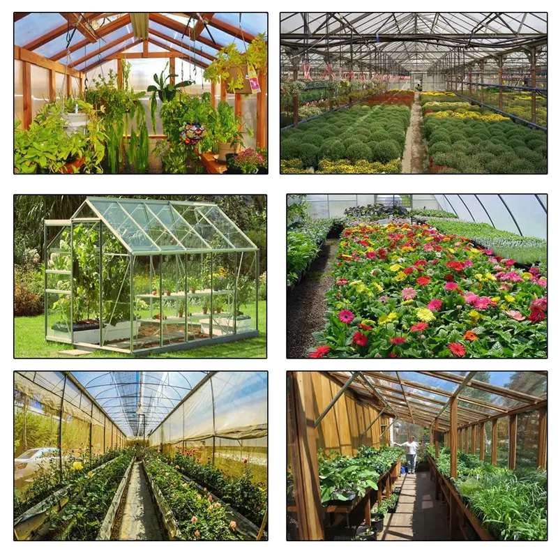 Transparent PE Tarpaulin Solutions for Reliable Ou05