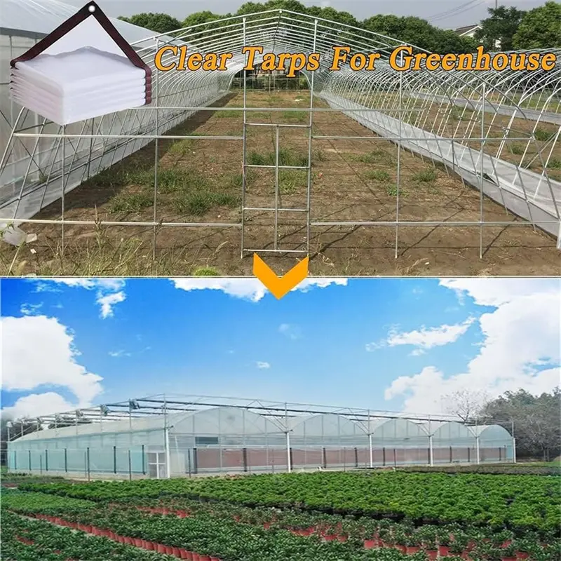 Transparent PE Tarpaulin Solutions for Reliable Ou03