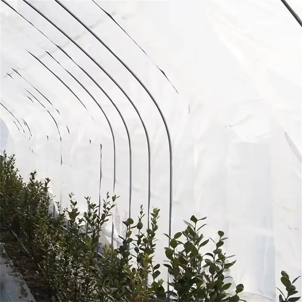 PE Clear Tarpaulin – Durable Transparent Cover Sol05