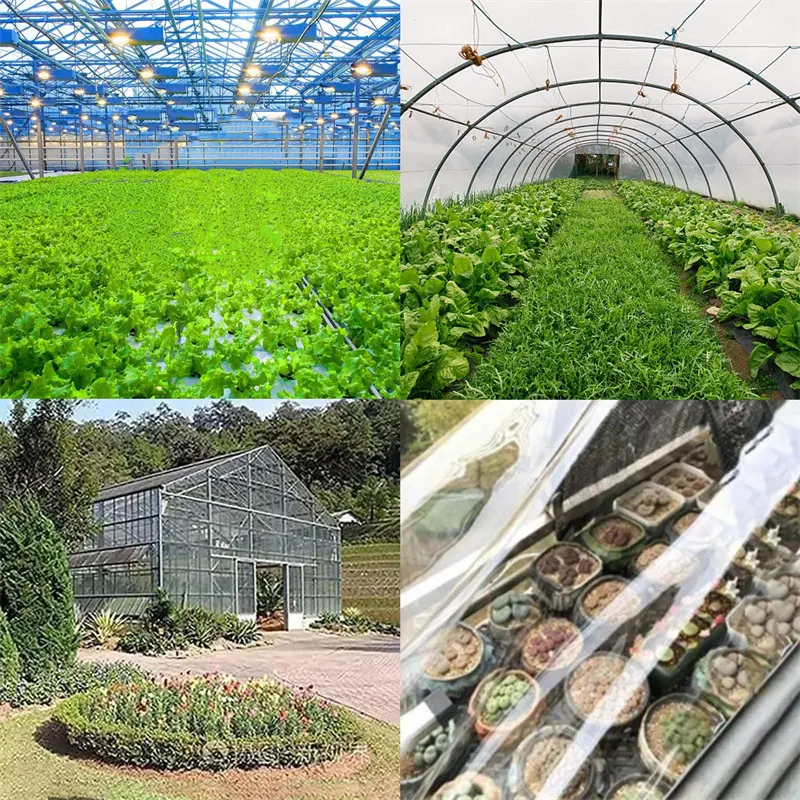 Transparent PE Tarpaulin Solutions for Reliable Ou06