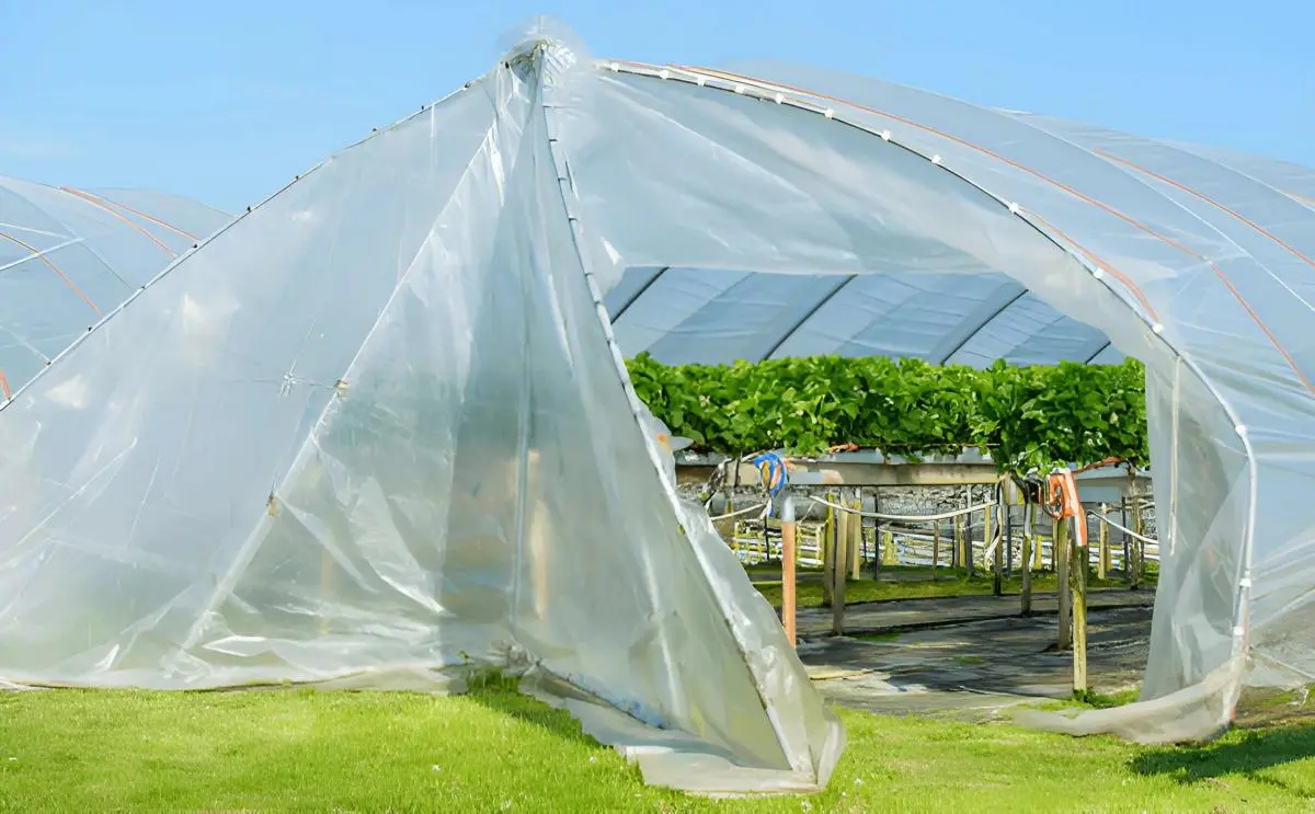 Industrial Clear Tarps: Selecting the Perfect Size for Maximum Protection