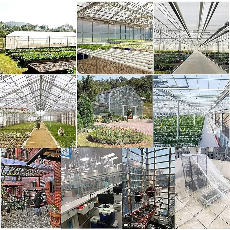 Transparent PE Tarpaulin Solutions for Reliable Ou02