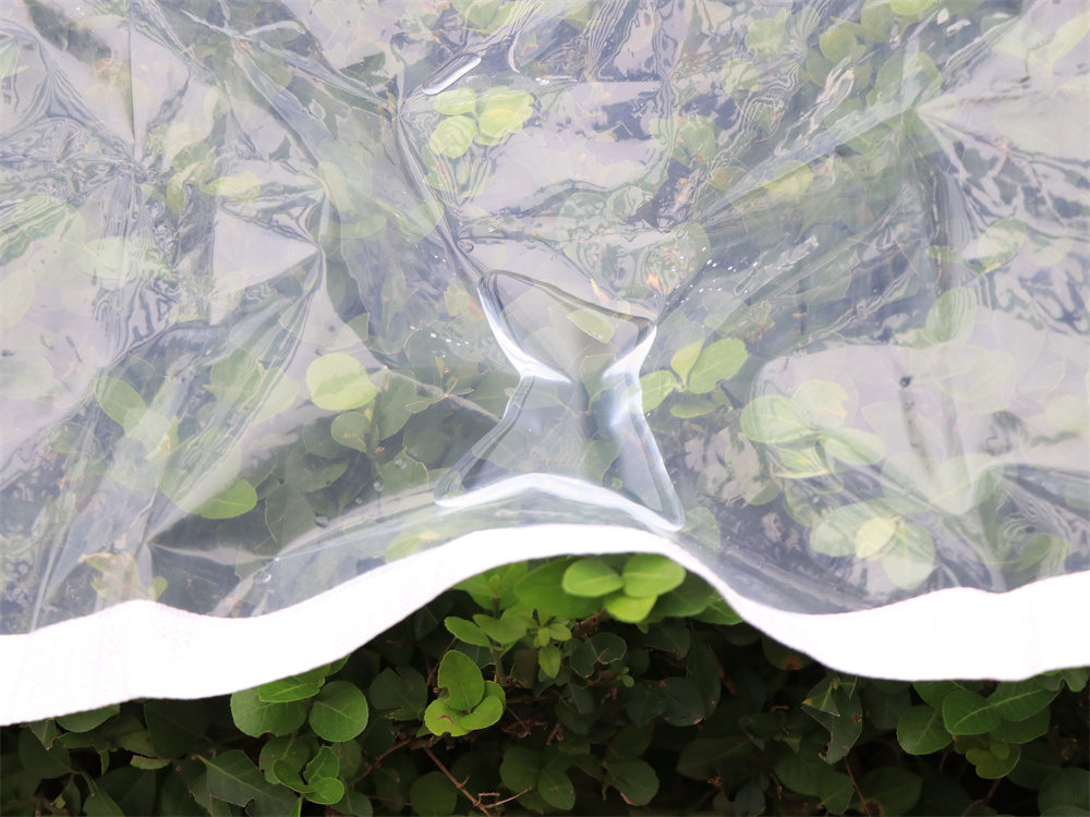 Durable PE Clear Tarpaulin – Reliable Transparent 03