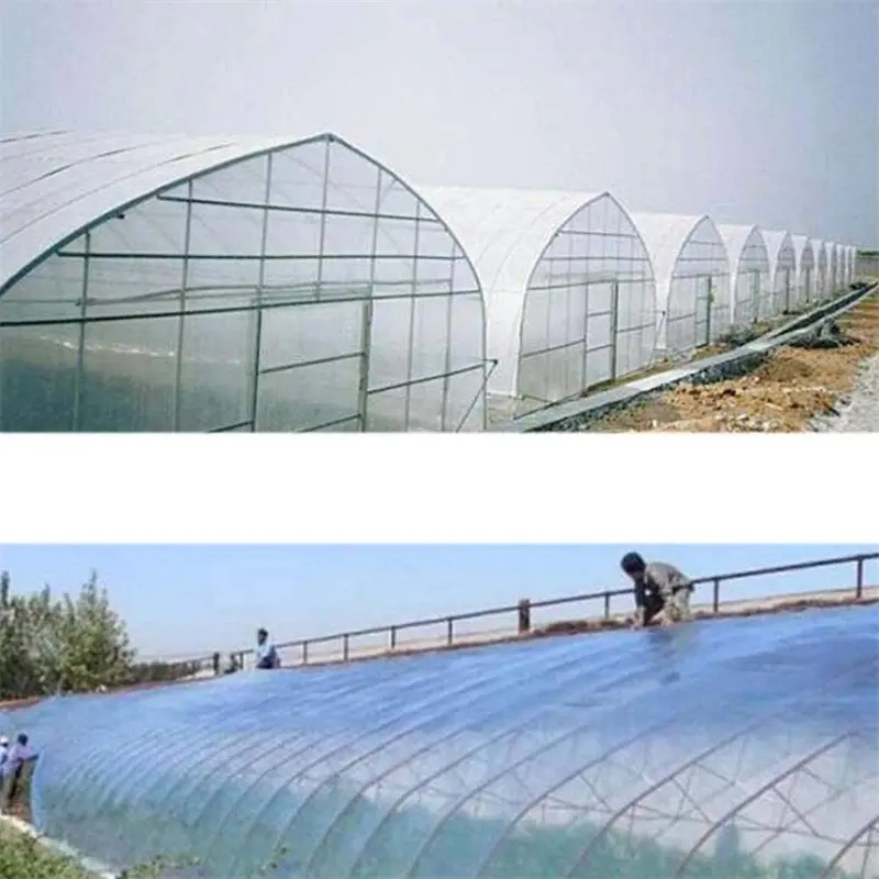 Durable PE Clear Tarpaulin02