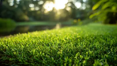 Outdoor Turf Comparison Guide Finding the Best Option for Your Needs